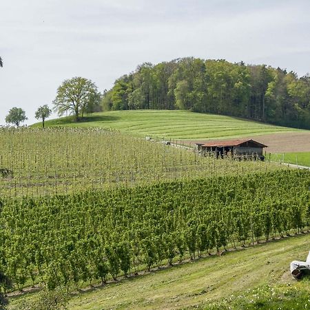 Ferienwohnung Lang Kressbronn am Bodensee Dış mekan fotoğraf
