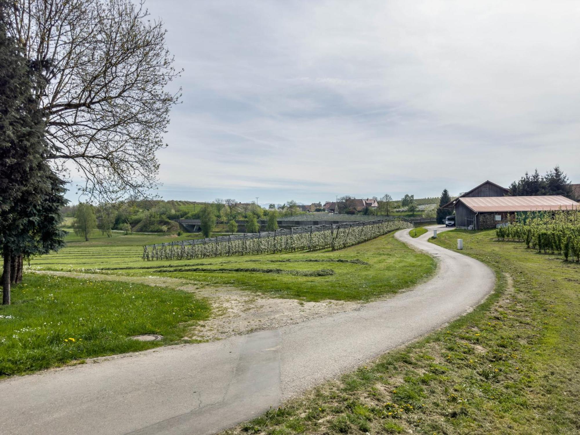 Ferienwohnung Lang Kressbronn am Bodensee Dış mekan fotoğraf